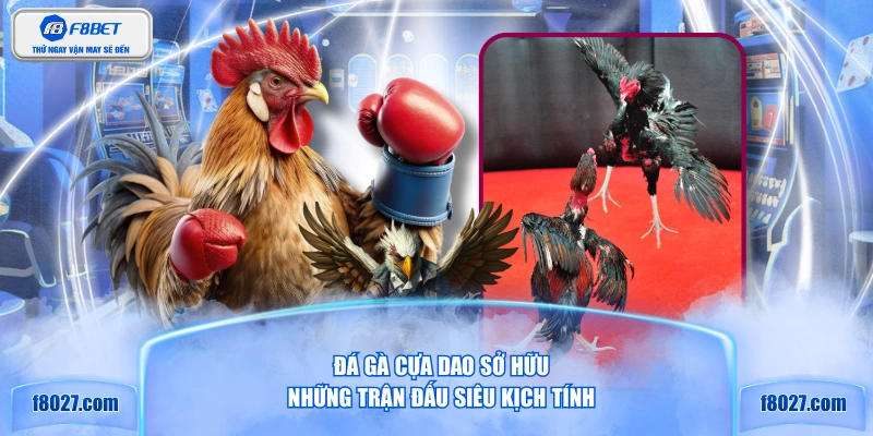 Đá gà cựa dao sở hữu những trận đấu siêu kịch tính