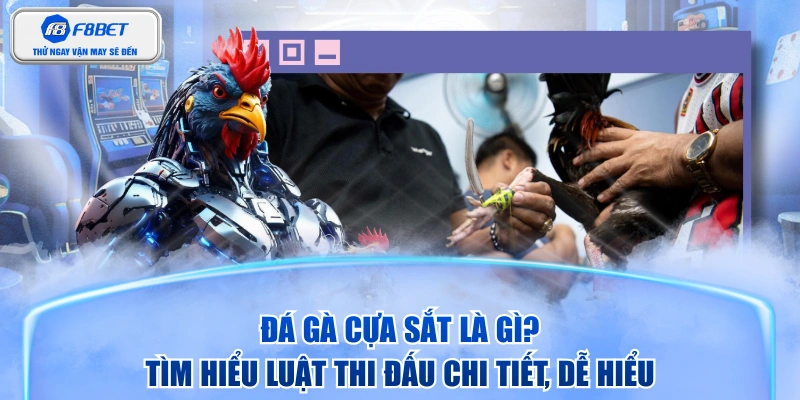 Đá Gà Cựa Sắt Là Gì? Tìm Hiểu Luật Thi Đấu Chi Tiết, Dễ Hiểu