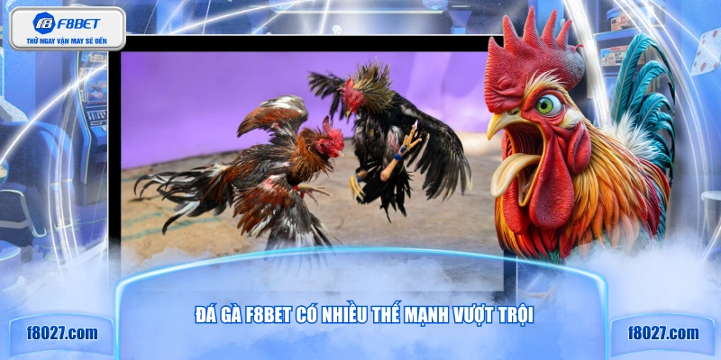 Đá gà F8BET có nhiều thế mạnh vượt trội