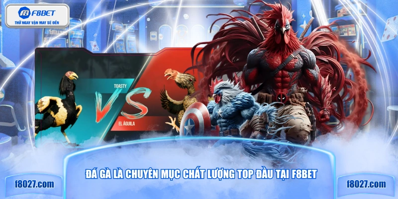 Đá gà là chuyên mục chất lượng top đầu tại F8BET