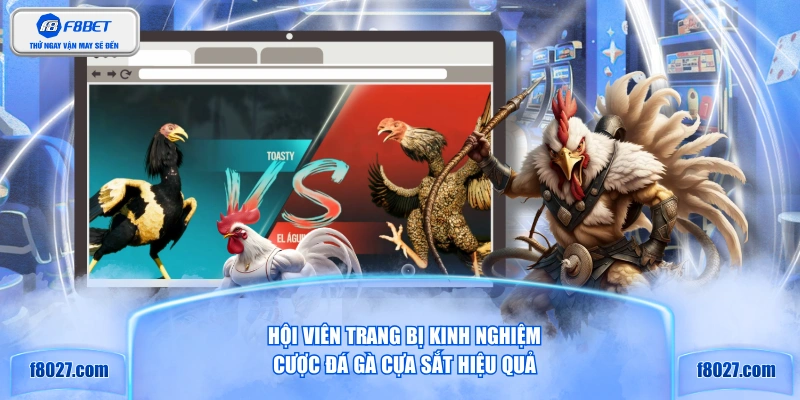 Hội viên trang bị kinh nghiệm cược đá gà cựa sắt hiệu quả