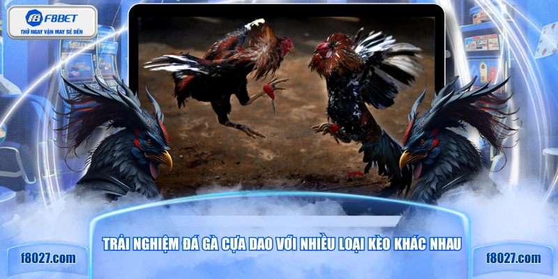 Trải nghiệm đá gà cựa dao với nhiều loại kèo khác nhau